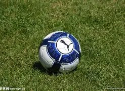 开云体育,下载,资讯,开云体育,开云体育官网,开云体育app,开云体育平台,KAIYUN,SPORTS,kaiyun登录入口