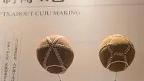 开云体育app下载 资讯 102040 53y