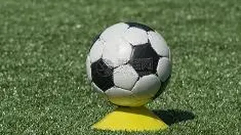 开云体育app下载 资讯 101405 kow